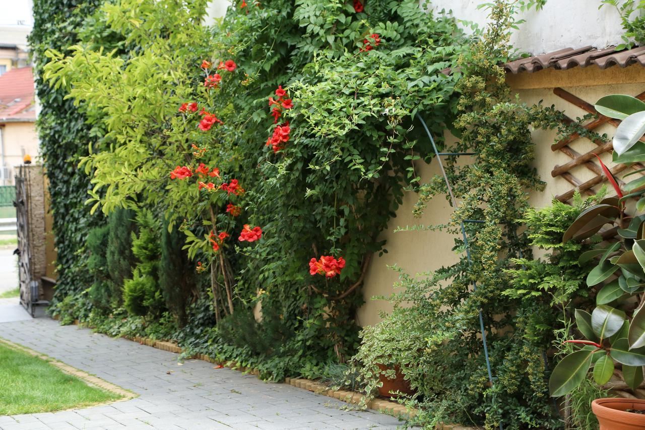 Hotel Oli House Alba Iulia Exterior foto